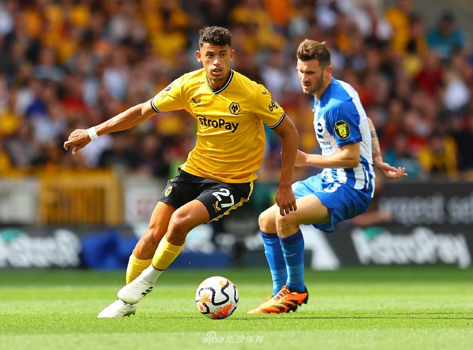 爱德华兹分 爱德华兹分